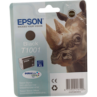 Epson T1001 Ink Cartridge Black C13T100140-0
