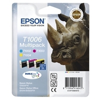 Epson T1006 Ink Cartridge Rainbow C13T100640-0