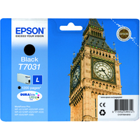 Epson T7031 Ink Cartridge Black C13T70314010-0