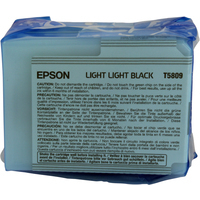 Epson T5809 Ink Cartridge Light Black C13T580900-0