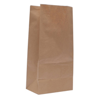 Paper Bag Brown W250 x D150 x H305mm 3.25kg 302165 Pack of 500-0